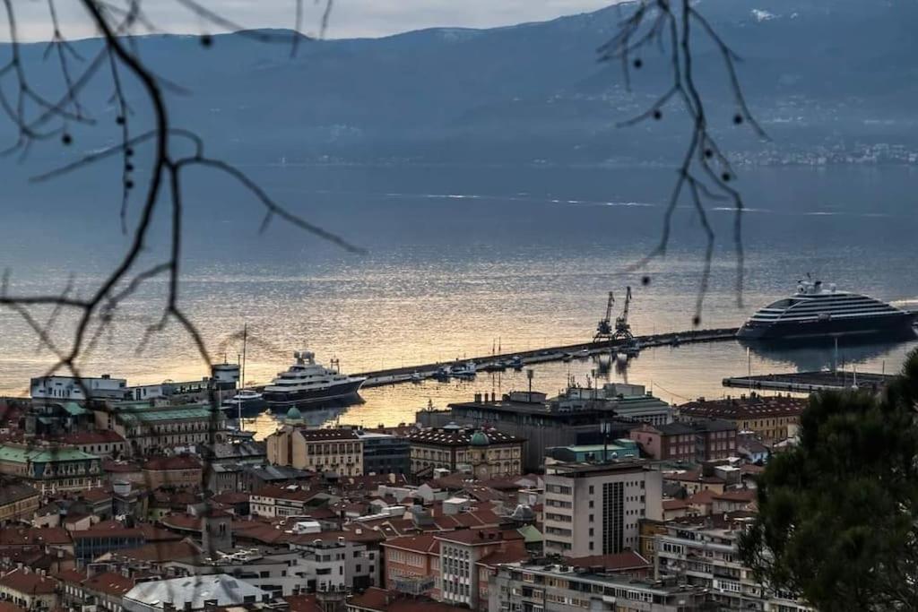 Apartman David-Дражице Экстерьер фото